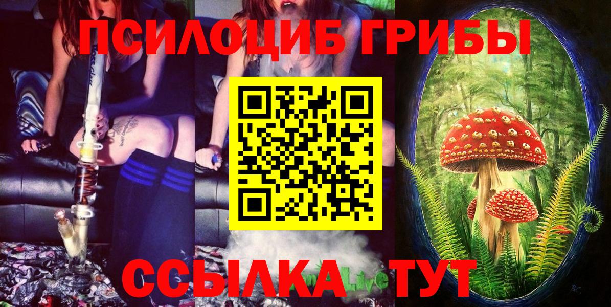 Галлюциногенные грибы мицелий Волжск